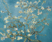 Blooming Almond Blossom