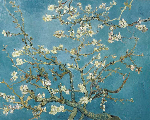 Blooming Almond Blossom