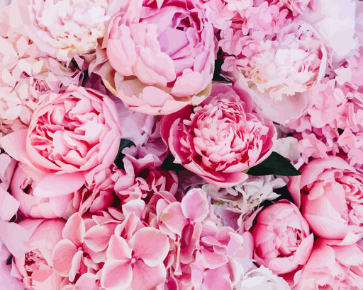 Blush Peony Garden