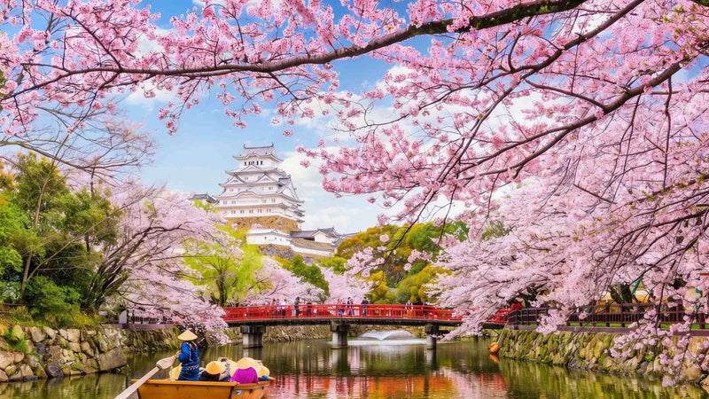 Sakura Moat at Himeji Castle